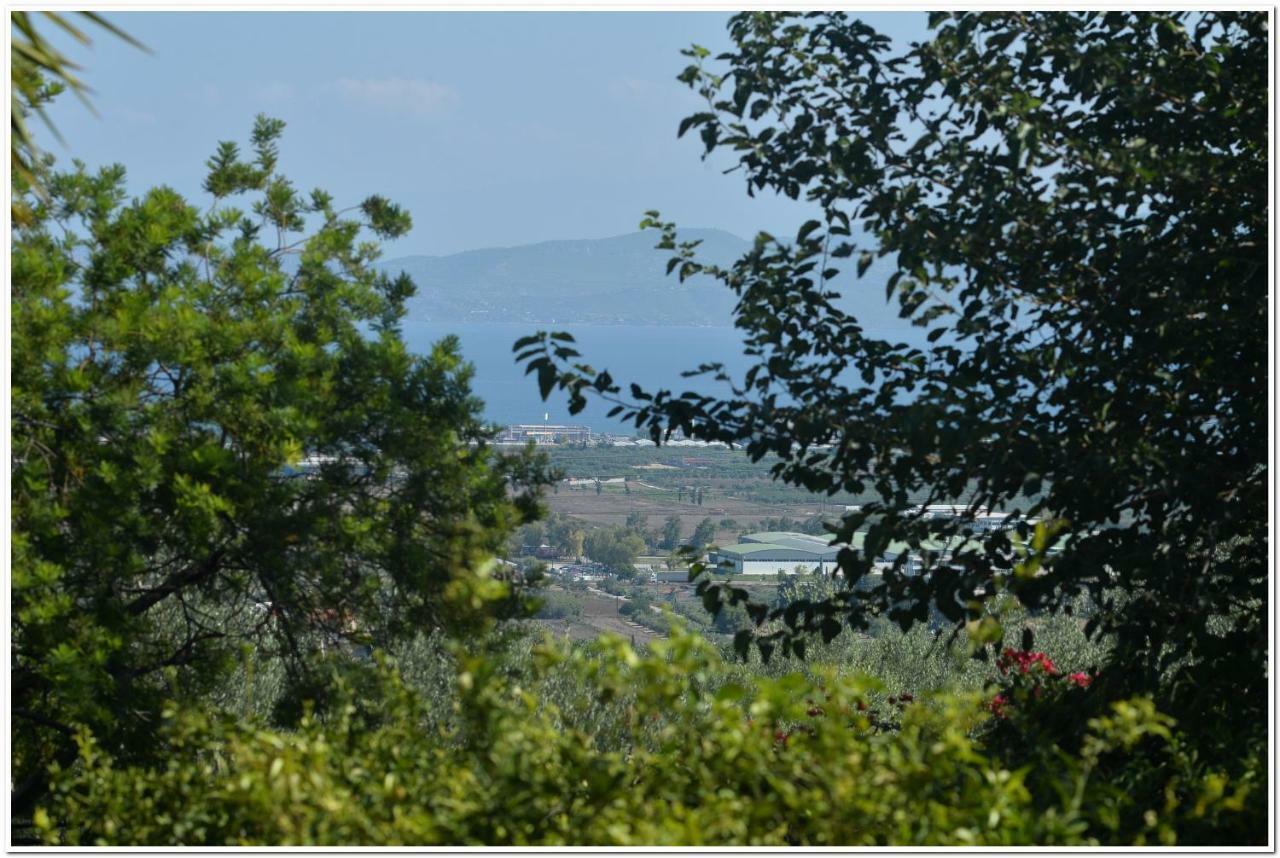 Cozy Home With Great View In Ancient Corinth Εξωτερικό φωτογραφία